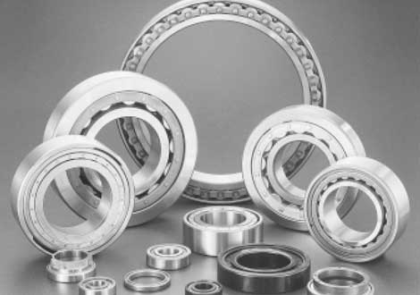 Rodamientos Especiales